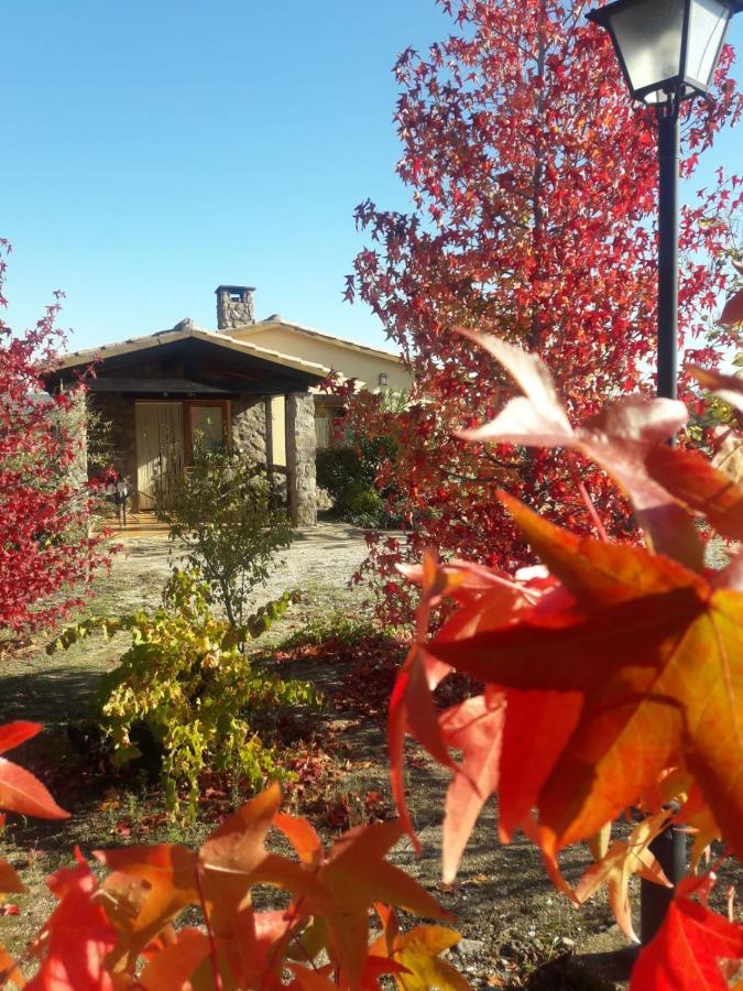 Casa Rural Amarilla Ávila 外观 照片